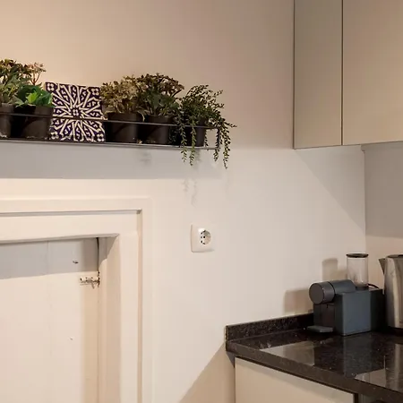 Lejlighed Urban Charm 1br In Principe Real Lisboa